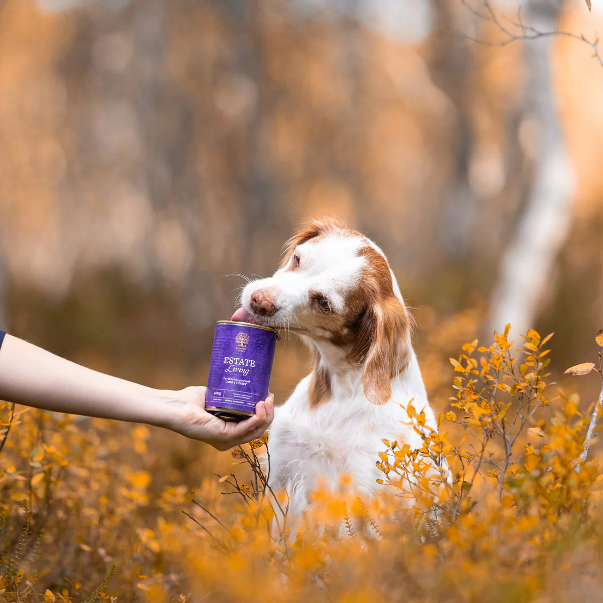 Essential Estate Living Pâté, Adult cu Miel si Curcan, 400g