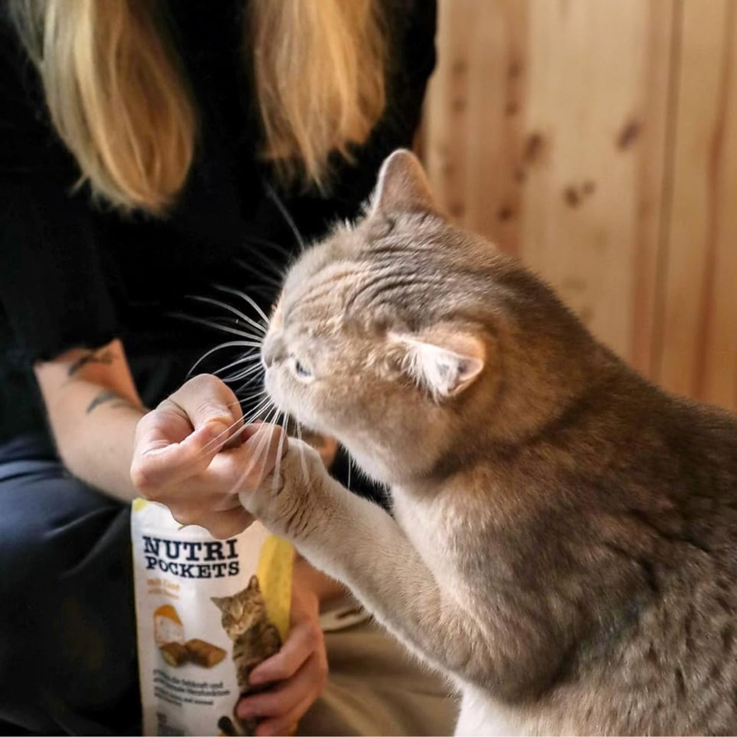 GimCat Nutri Pockets, Recompense Crocante pentru Pisici cu Branza, 60g