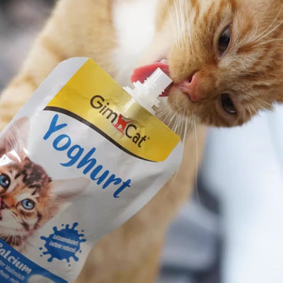 GimCat Yoghurt, Iaurt Cremos pentru Pisici (Lactoza Redusa), 150g