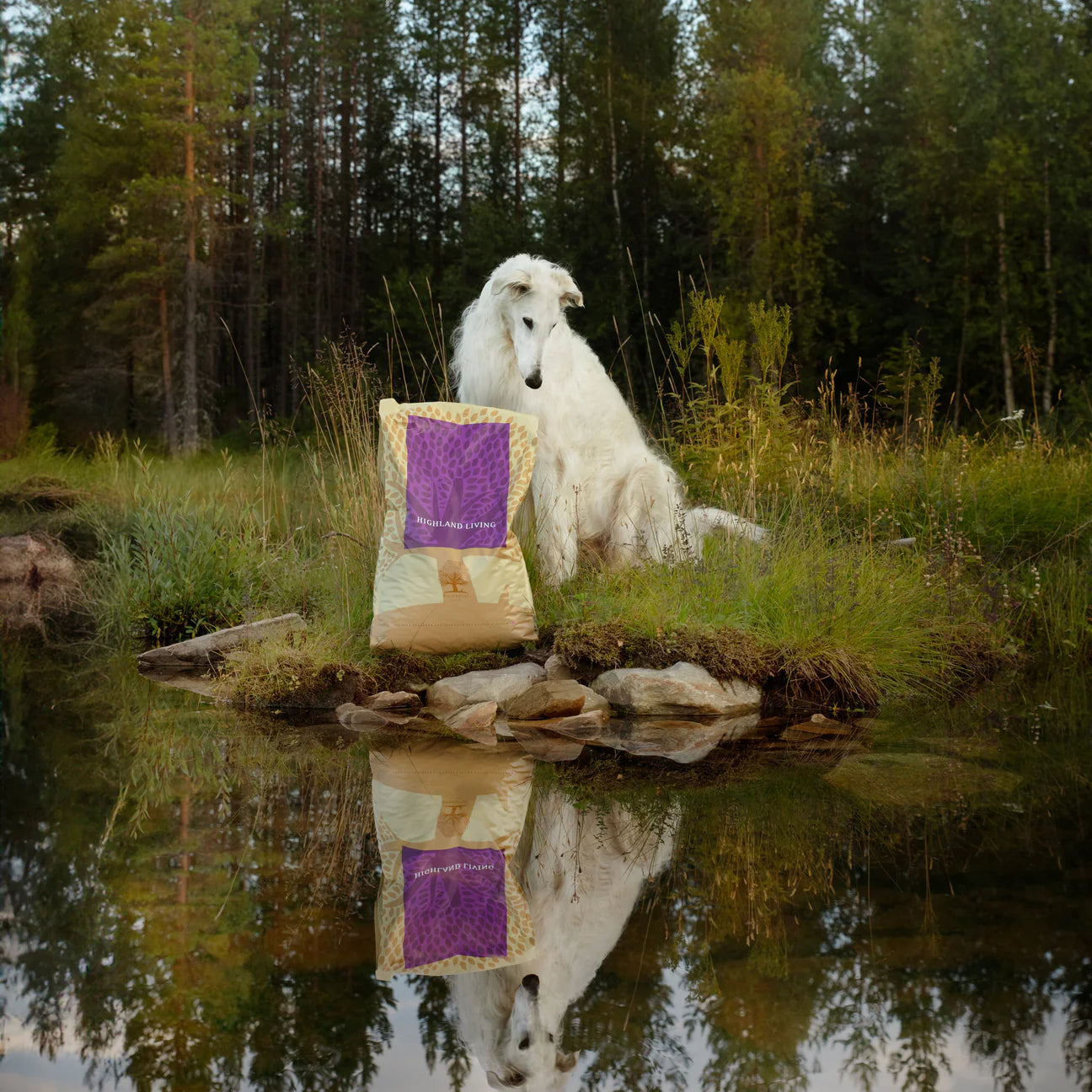 Essential Highland Living, Hrana Uscata pentru Caini Adulti, cu Curcan, Vita Angus si Pasari Salbatice, Crocheta Mare, 10kg