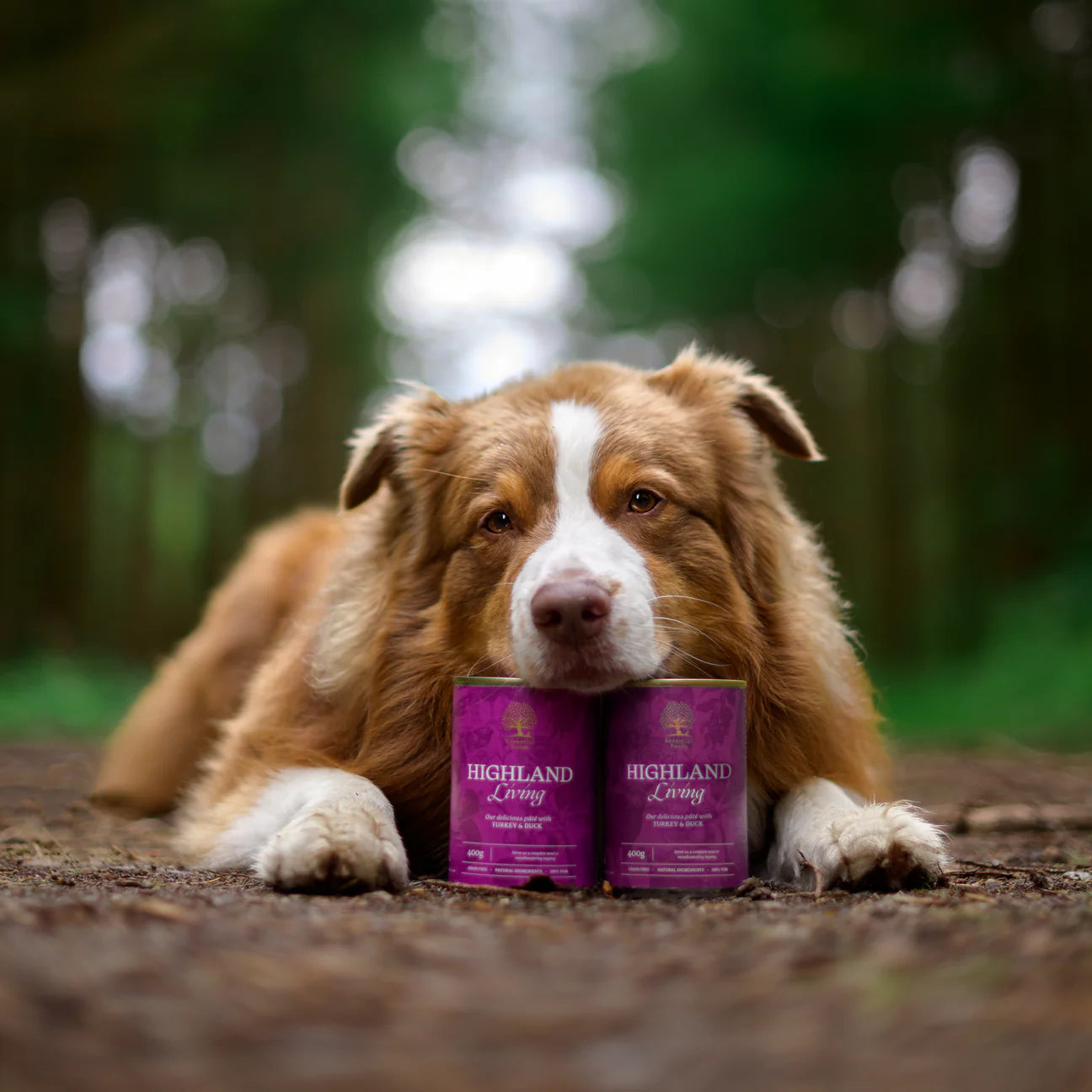 Essential Highland Living Pâté, Adult, cu Curcan si Rata, 400g