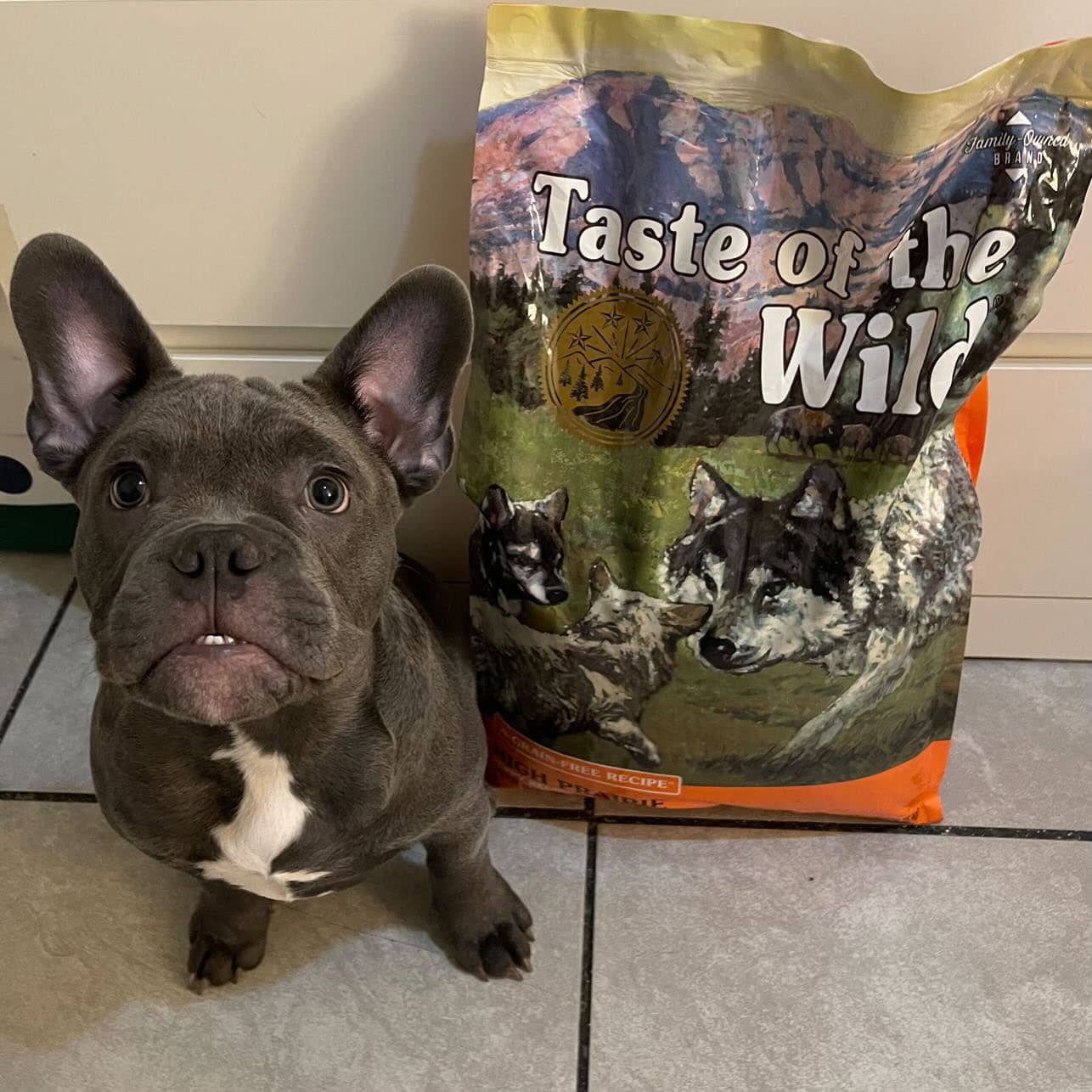 Taste of the Wild High Prairie Hrana Uscata pentru Caini Junior, cu Bizon și Caprioara, Fara Cereale, 2kg / 12.2kg