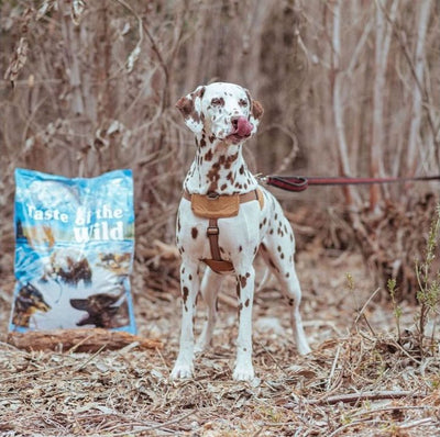 Hrana uscata pentru caini Taste of the Wild Pacific Stream cu Somon Afumat, 2kg / 12.2kg