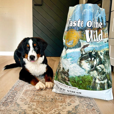 Hrana uscata pentru caini Taste of the Wild Pacific Stream Somon Afumat Junior, 2kg / 12.2kg