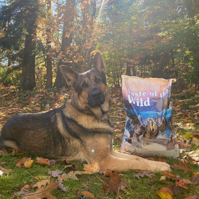 Hrana uscata pentru caini Taste of the Wild Wetlands cu Rata, Prepelita si Curcan, 2kg / 12.2kg