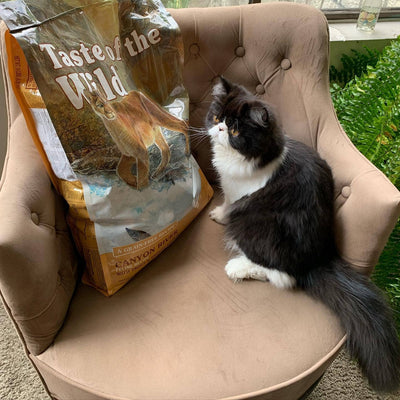 Hrana uscata pentru pisici Taste of the Wild Canyon River cu Pastrav si Somon Afumat, 2kg / 6.6kg