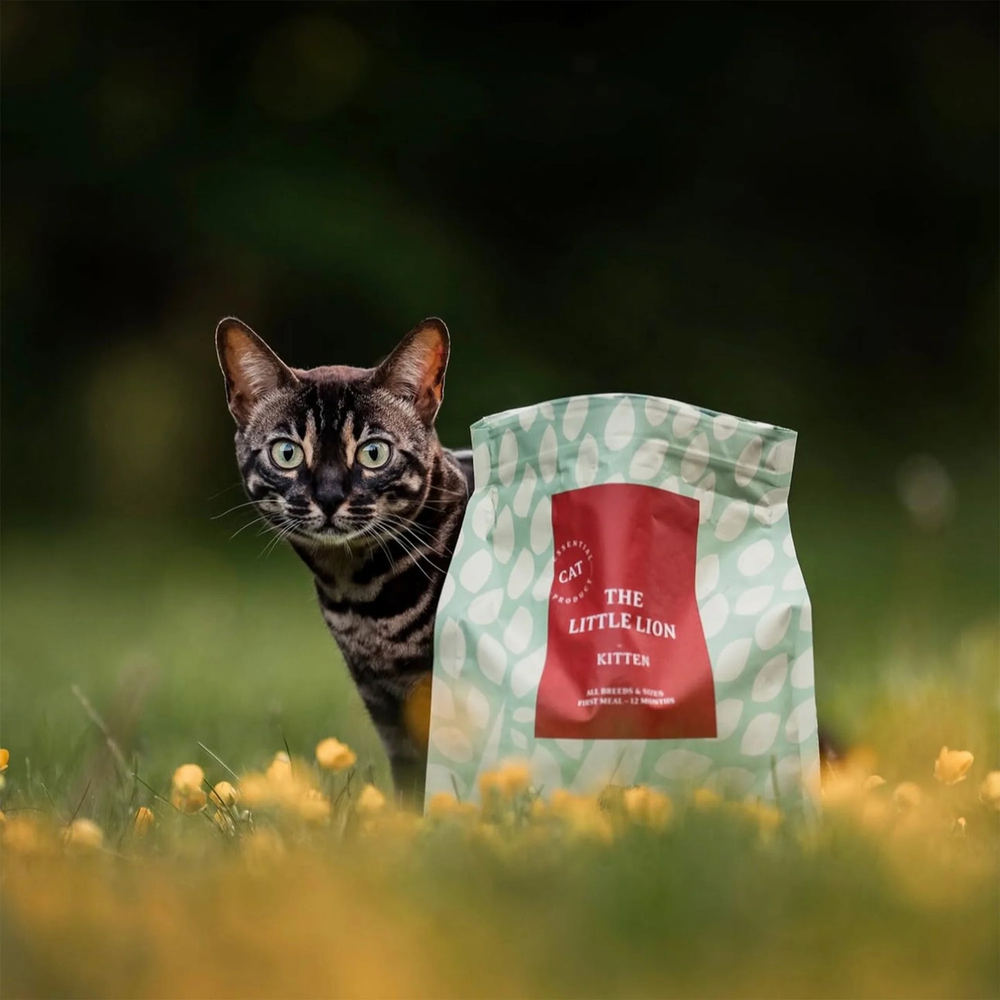 Essential The Little Lion, Hrana Uscata pentru Pisica Junior, cu Pui, Rata si Peste, 3kg / 1.5kg