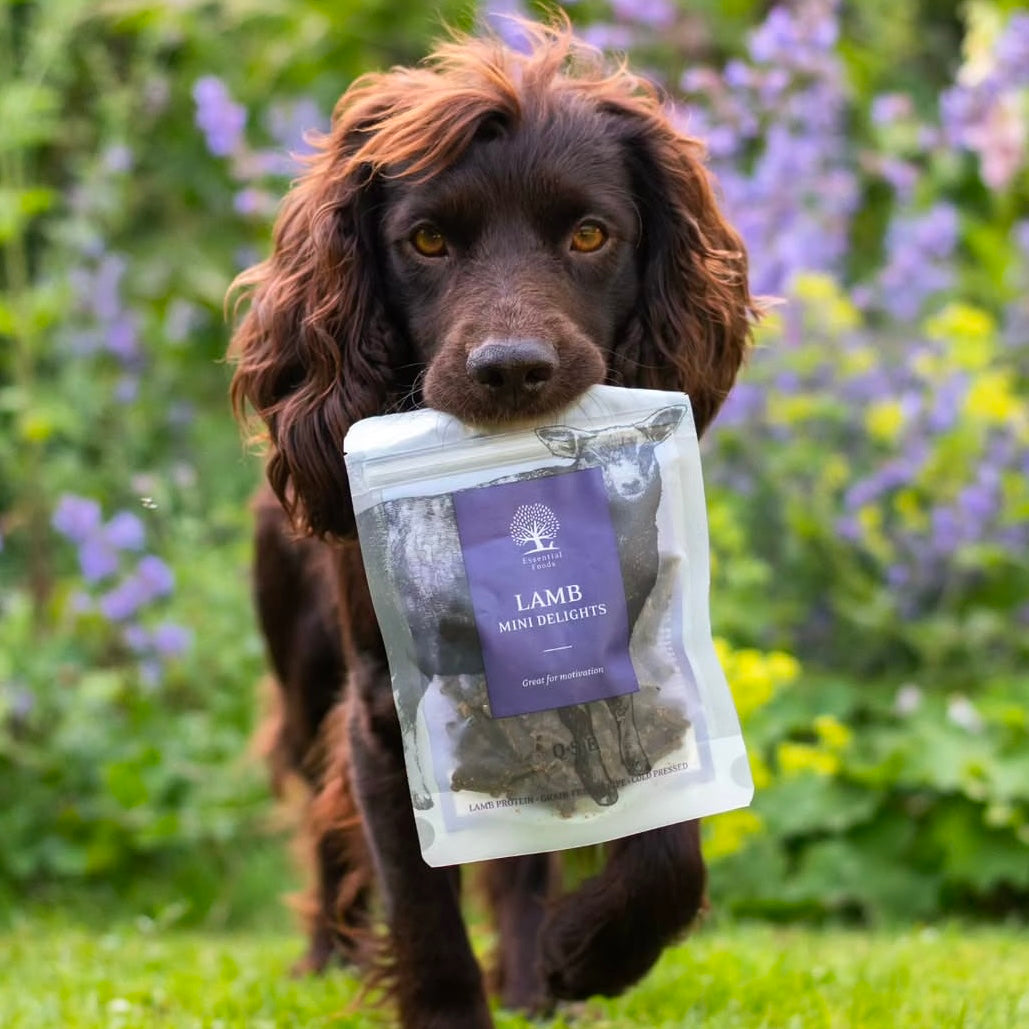Essential Lamb Mini Delights, Recompense Naturale pentru Caini, cu Miel, 100g