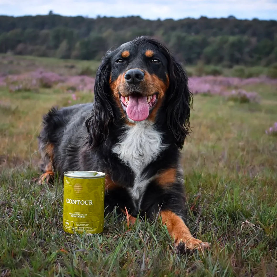 Essential Contour Pâté, Sterilizat si Controlul Greutatii, cu Rata si Pui, 400g