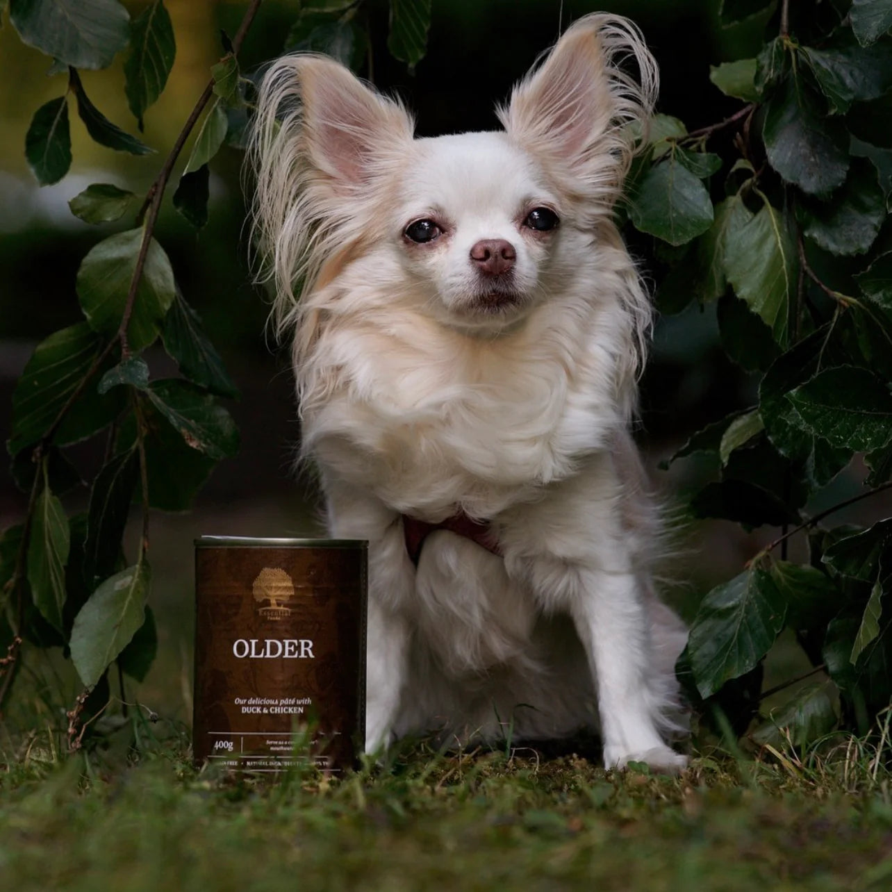 Essential Older Pâté Senior, cu Pui si Rata, 400g