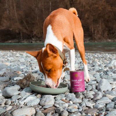 Essential Highland Living Pâté, Adult, cu Curcan si Rata, 400g