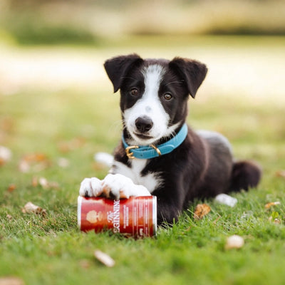 Essential The Beginning Pâté Junior, cu Pui si Rata, 400g