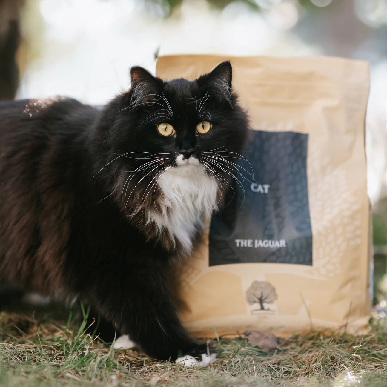 Essential The Jaguar, Hrana Uscata pentru Pisica Adult, cu Pui, Rata si Peste, 3kg / 1.5kg