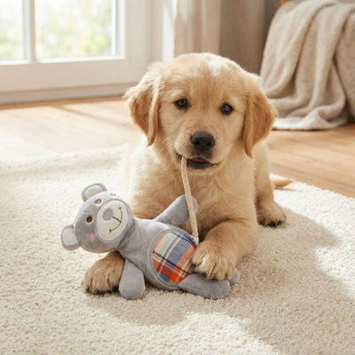 Jucarie pentru Caini Camon, Ursulet de Plus cu Coada din Sfoara si Squeaker Piuitoare, 11.5 x 17 cm