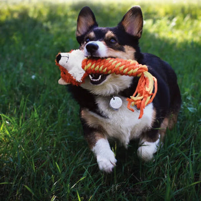 Jucarie pentru Caini KONG Winder Fox, 36 cm