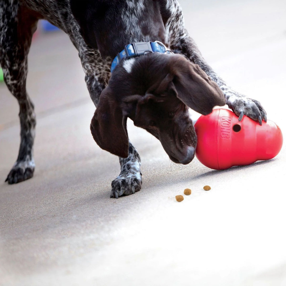 KONG Wobbler Snackball Jucarie pentru Caini 15cm / 19cm