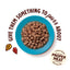 Lily's Kitchen Hrana Umeda pentru Pisici Adult, Bucati in Sos cu Peste Alb, Somon si Creveti, Fara Cereale, 85g