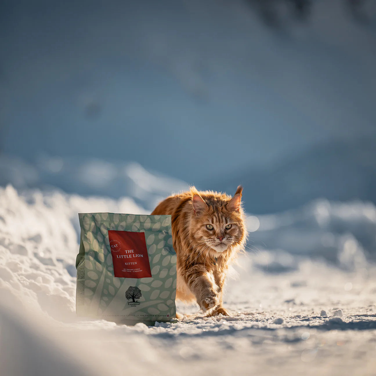 Essential The Little Lion, Hrana Uscata pentru Pisica Junior, cu Pui, Rata si Peste, 3kg / 1.5kg