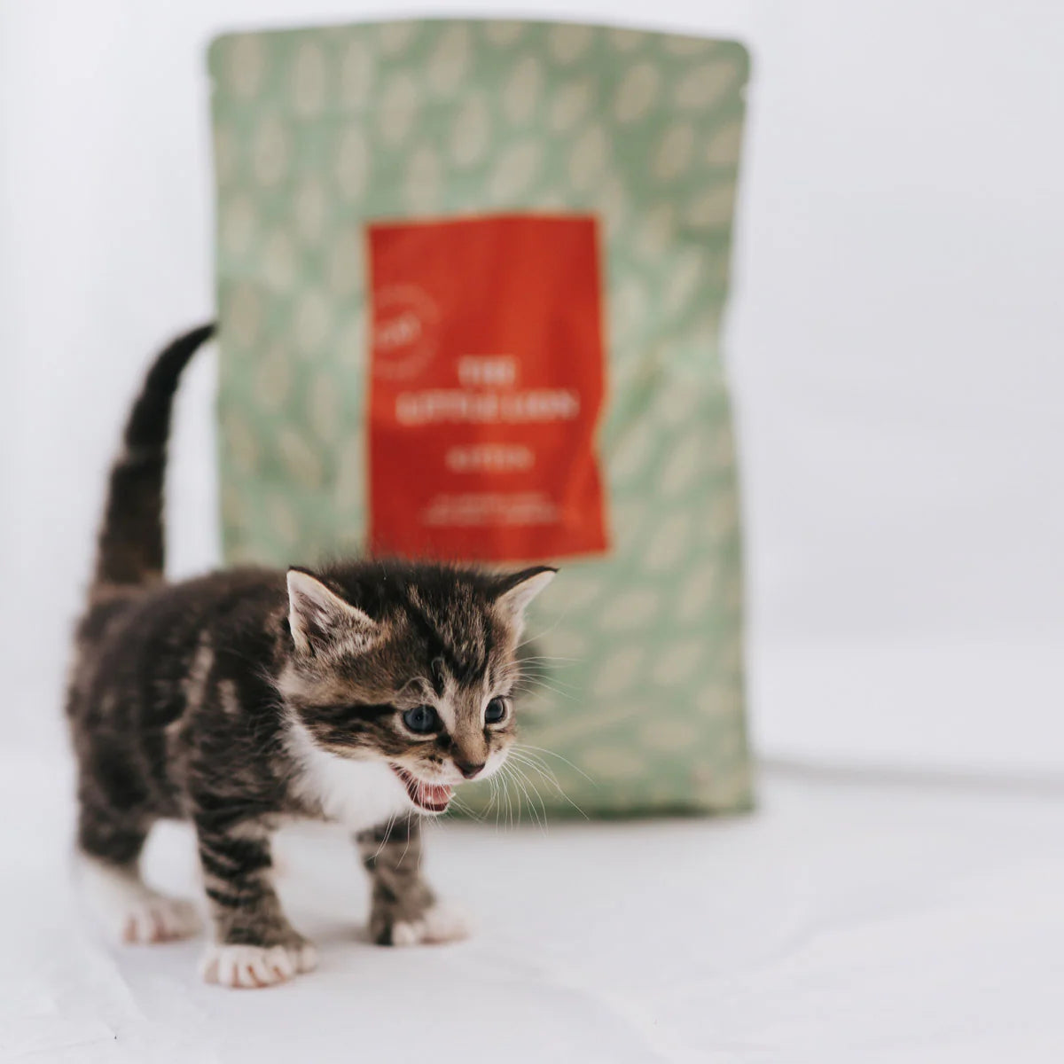 Essential The Little Lion, Hrana Uscata pentru Pisica Junior, cu Pui, Rata si Peste, 3kg / 1.5kg