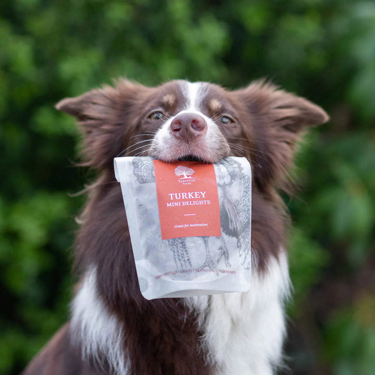 Essential Turkey Delights, Recompense Naturale pentru Caini, cu Curcan, 100g