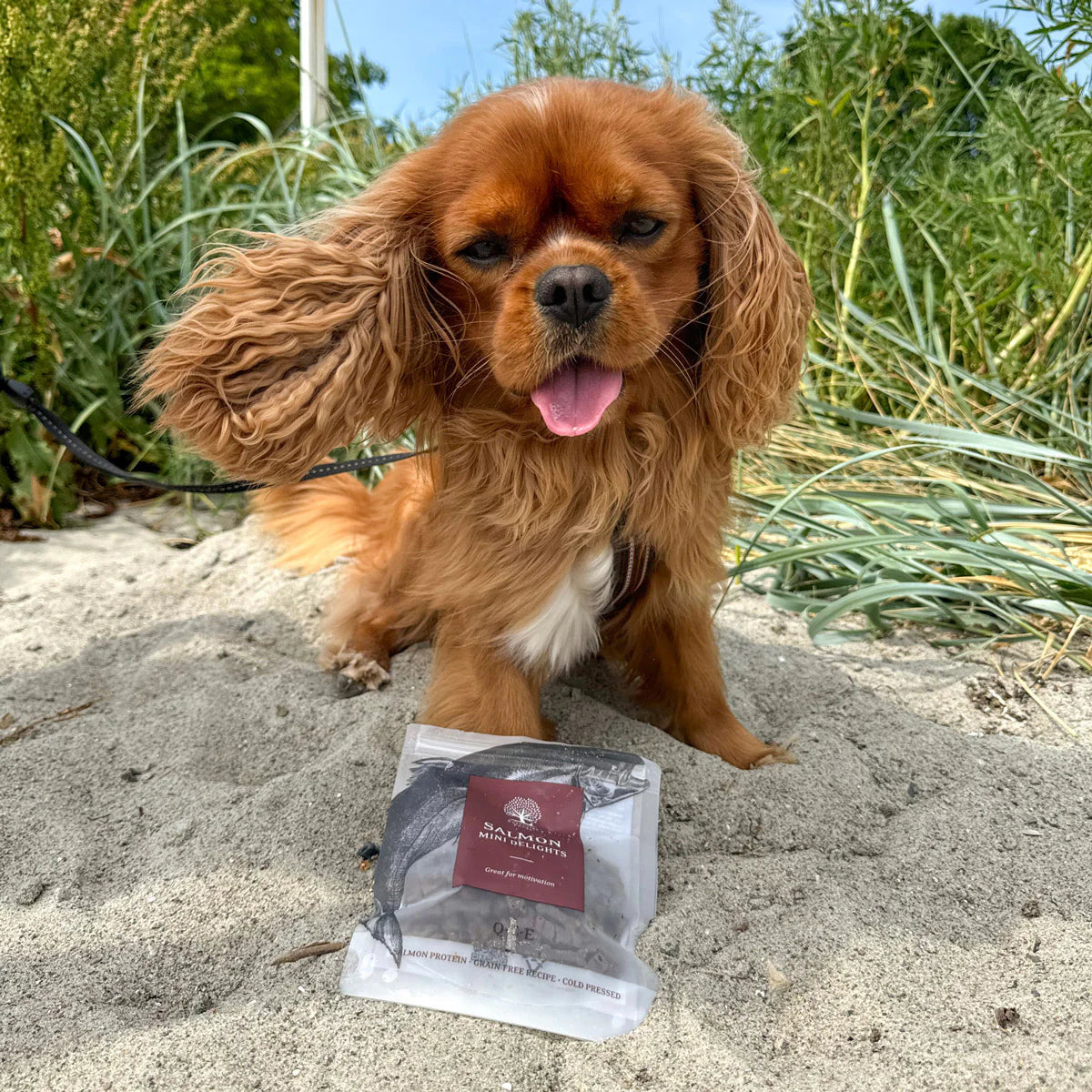 Essential Salmon Mini Delights, Recompense Naturale pentru Caini, cu Somon, 100g