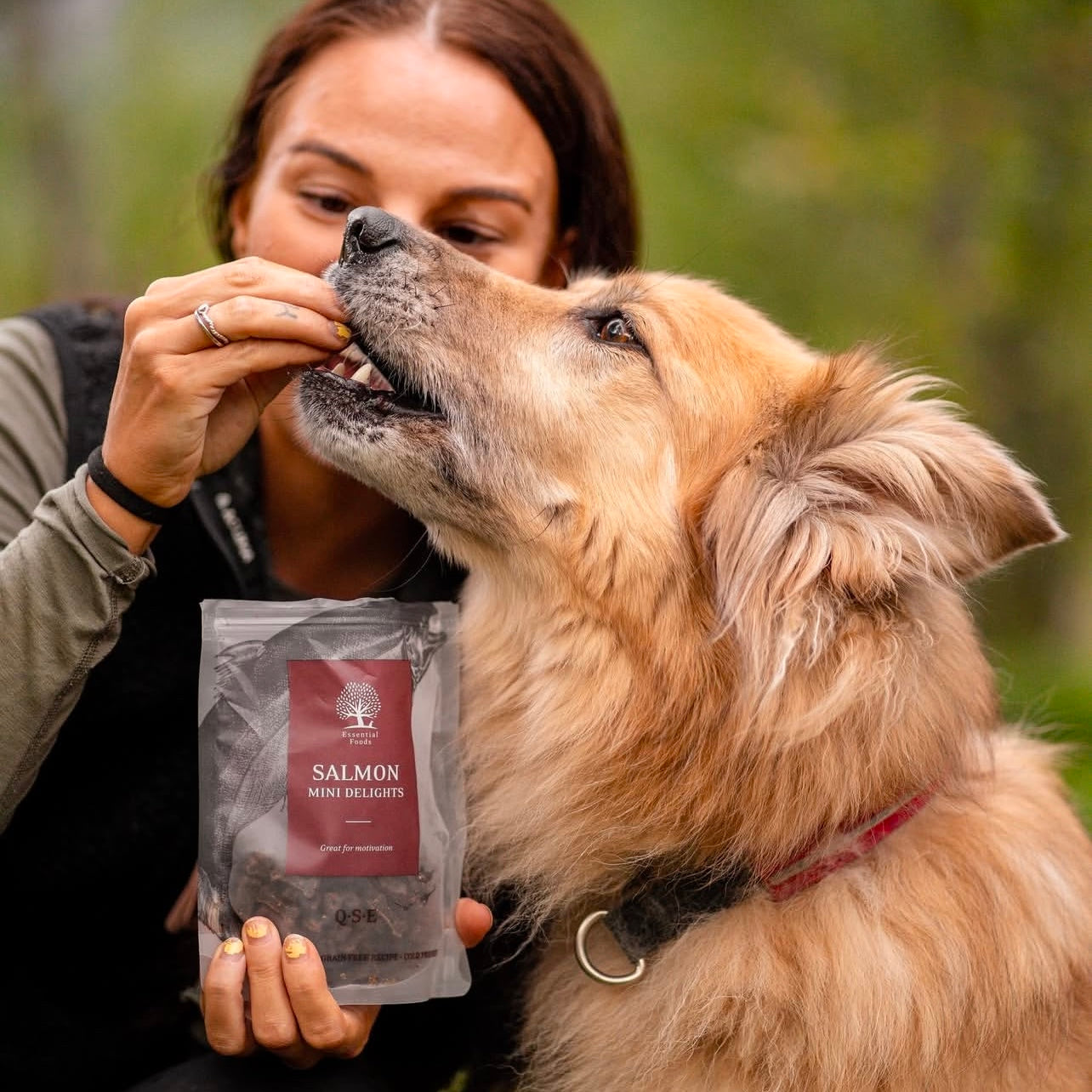 Essential Salmon Mini Delights, Recompense Naturale pentru Caini, cu Somon, 100g