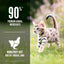 ORIJEN Kitten, Hrana Uscata pentru Pisici Junior, 90% Ingrediente Animale, cu Pui, Curcan si Somon, Fara Cereale, 1.8kg