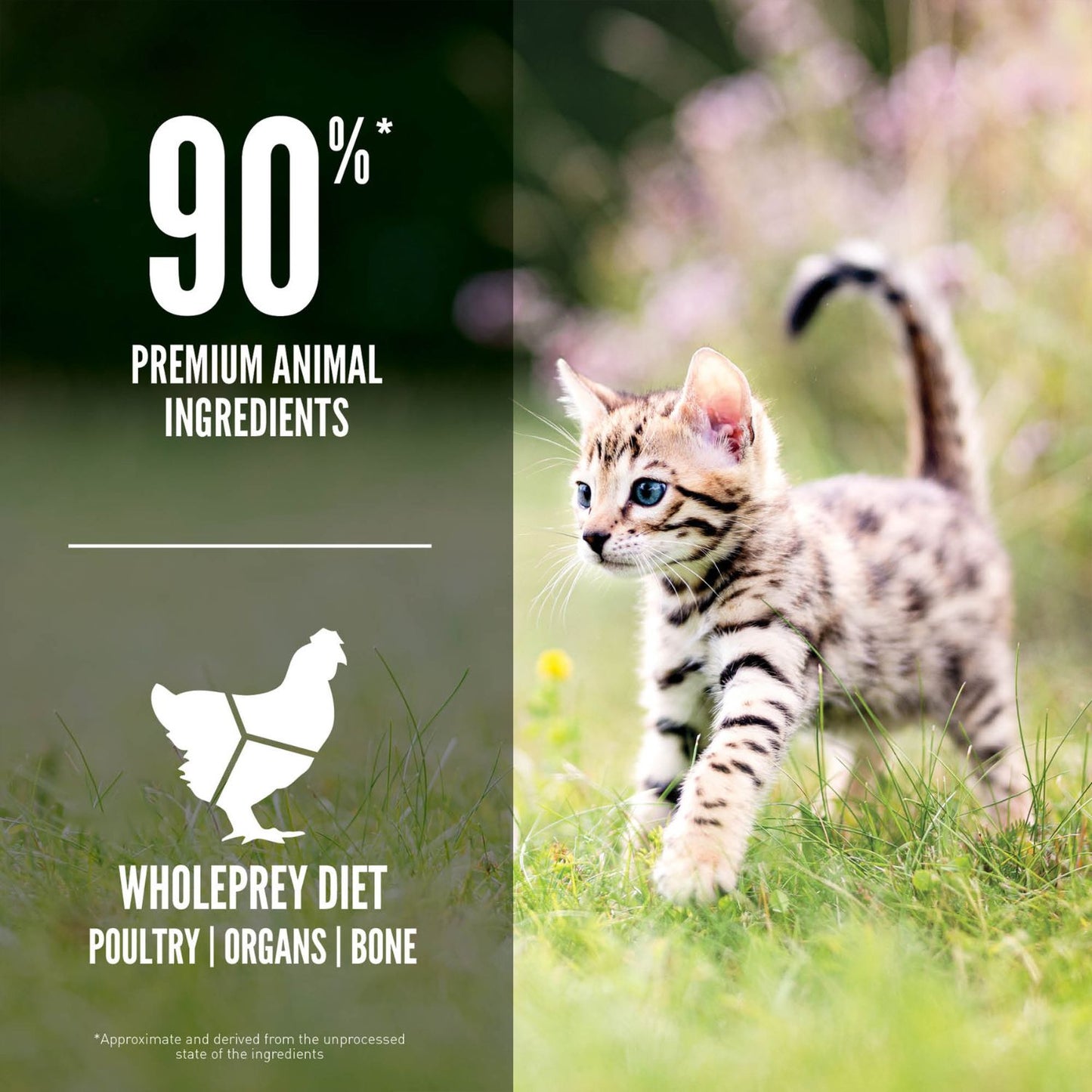 ORIJEN Kitten, Hrana Uscata pentru Pisici Junior, 90% Ingrediente Animale, cu Pui, Curcan si Somon, Fara Cereale, 1.8kg