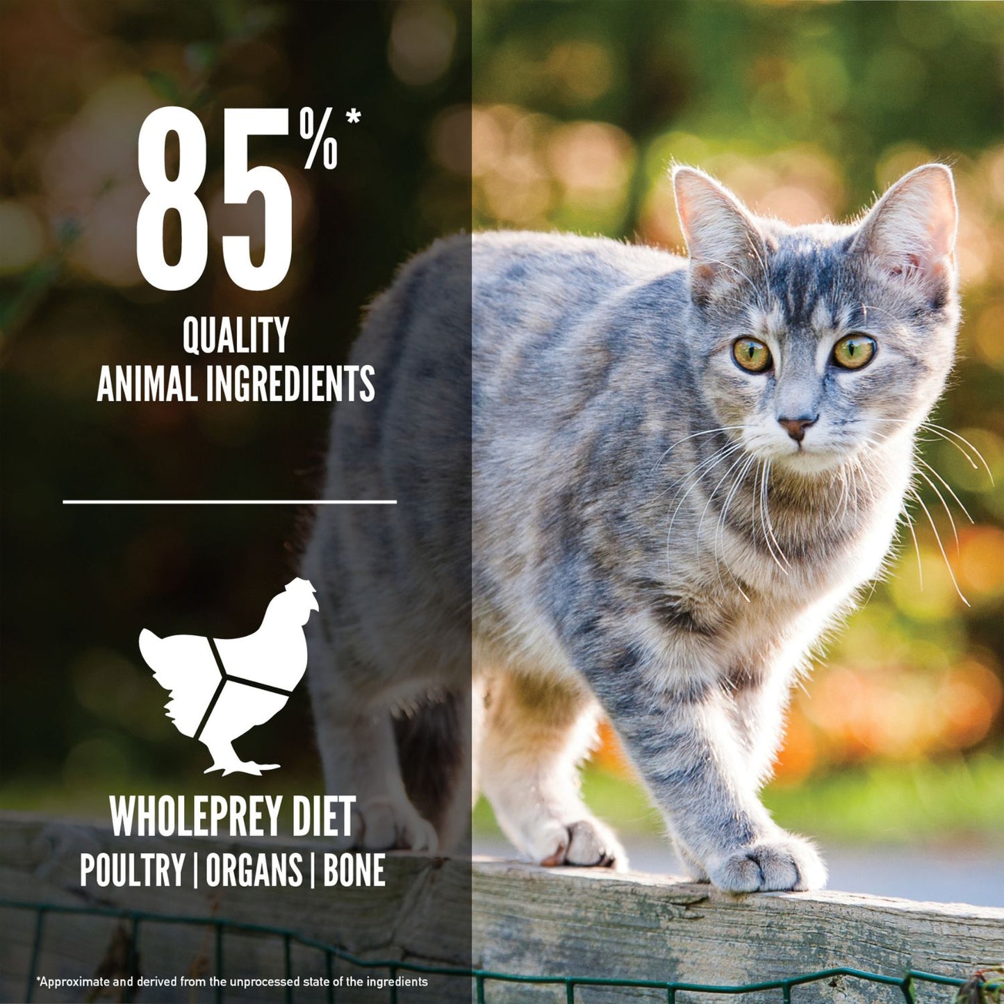 ORIJEN Original Cat, Hrana Uscata pentru Pisici, Toate Etapele de Viata, 85% Ingrediente Animale cu Pui, Curcan si Peste Salbatic, Fara Cereale, 1.8kg / 5.4kg