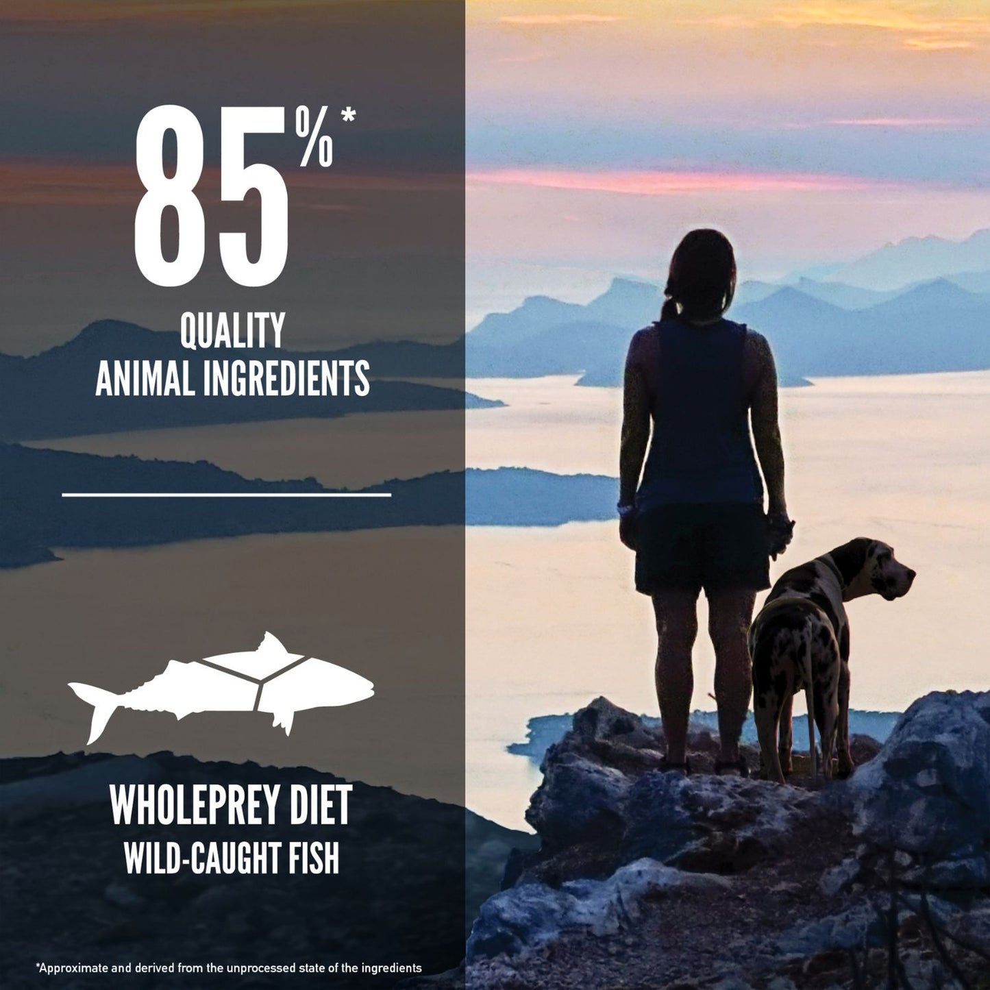 ORIJEN Six Fish, Hrana Uscata pentru Caini, Toate Etapele de Viata, cu 6 Pesti Salbatici, 85% Ingrediente Animale, Fara Cereale, 2kg / 11.4kg