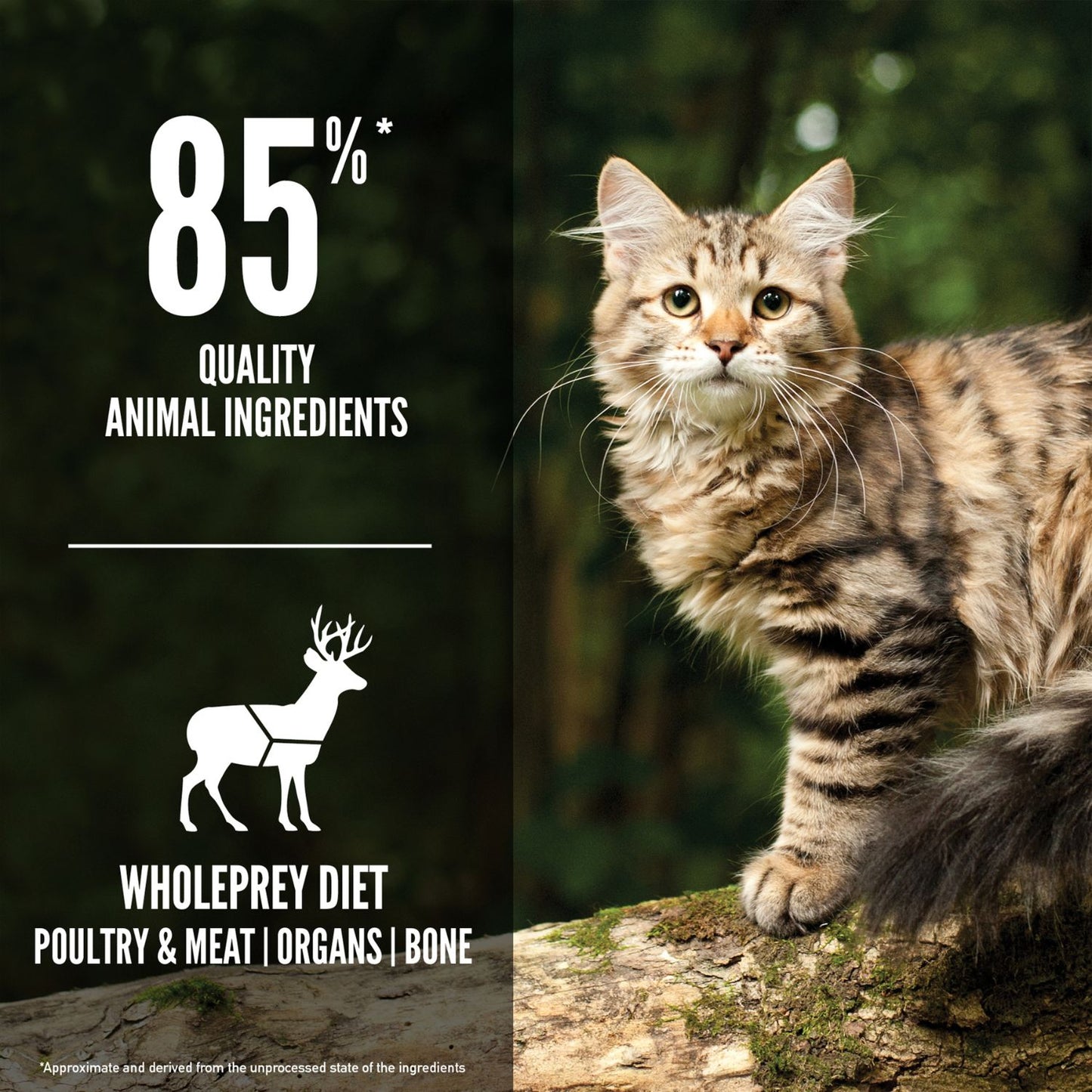 ORIJEN Tundra, Hrana Uscata pentru Pisici, Toate Etapele de Viata, 85% Ingrediente Animale, cu Rata, Char Arctic si Caprioara, Fara Cereale, 5.4kg