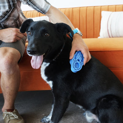 Perie pentru Caine KONG ZoomGroom, 3-in-1 pentru Masaj, Periaj si Samponare