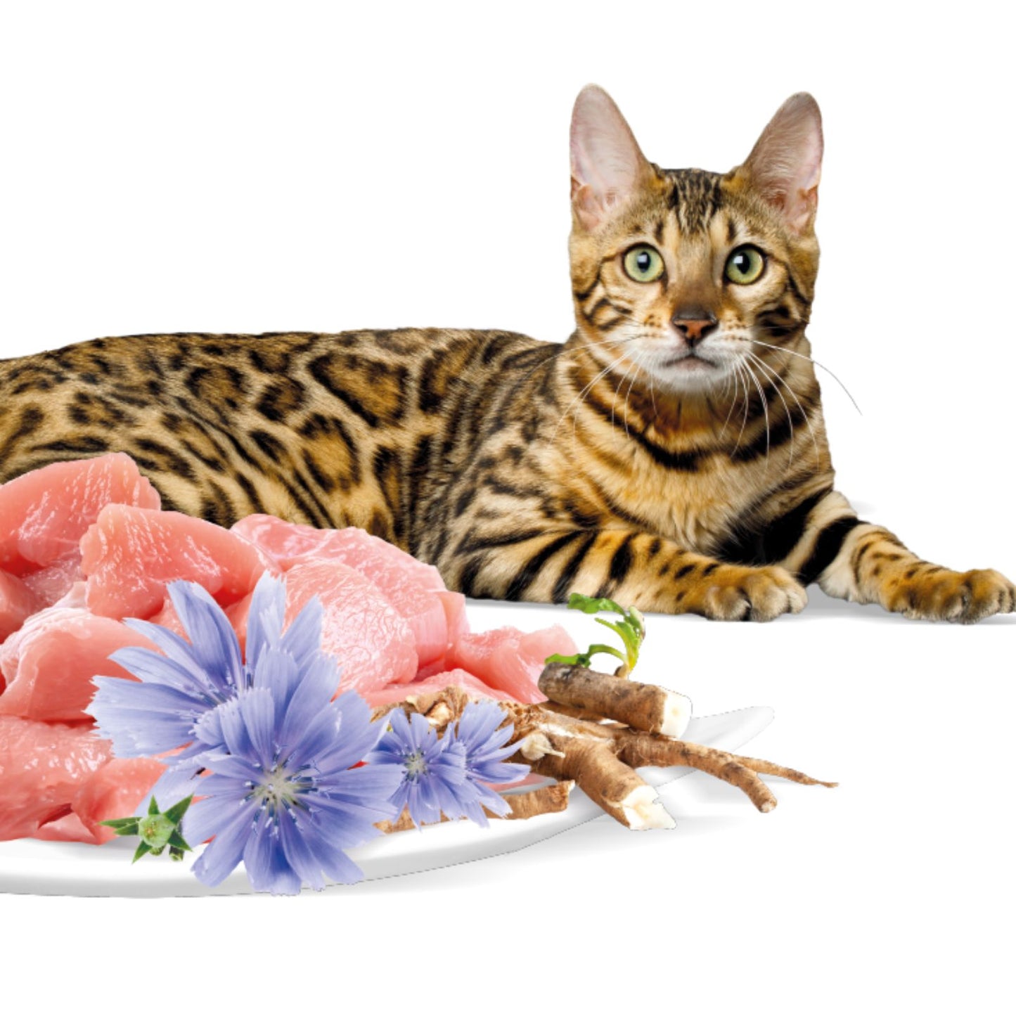 Rasco Premium Hrana Uscata pentru Pisici Adult, cu Pui si Radacine de Cicoare, 400g