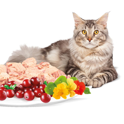 Rasco Premium Sterilized Hrana Uscata pentru Pisici Sterilizate, cu Ton si Merisoare, 400g / 2kg