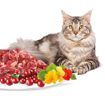 Rasco Premium Sterilized Hrana Uscata pentru Pisici Sterilizate, cu Vita si Merisoare, 400g / 2kg