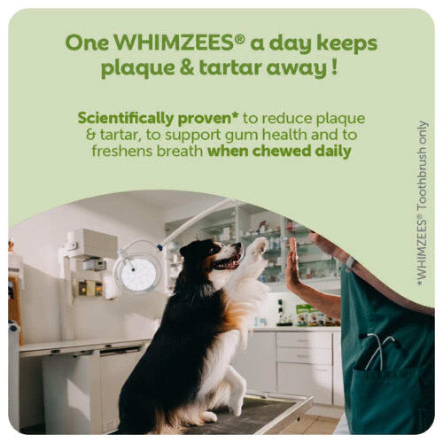 Recompensa Dentara Caini WHIMZEES Toothbrush S, Igiena Orala Completa, Fara Cereale, Talie Mica (7-12kg), 24 Bucăți