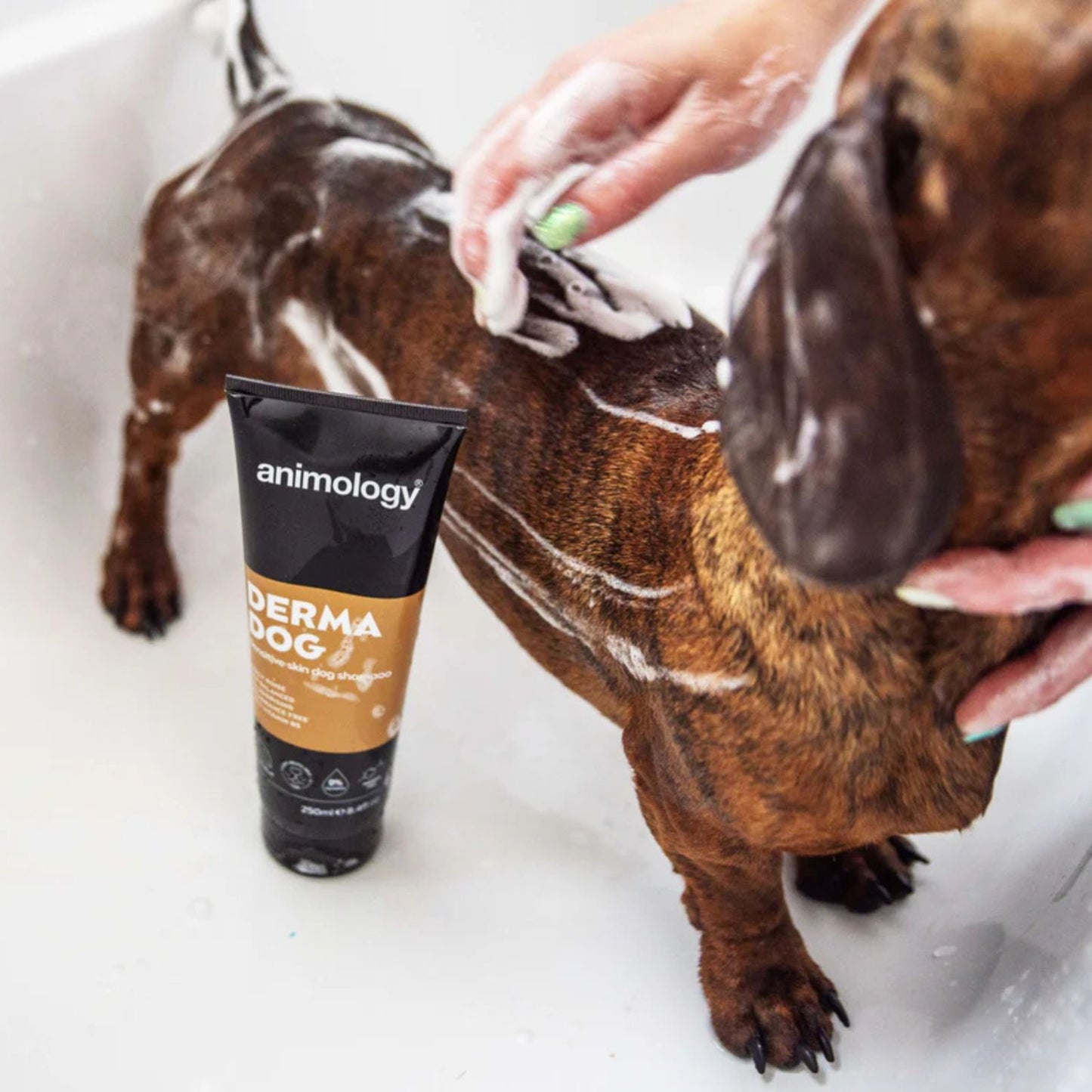 Sampon pentru Caini Animology Derma Dog pentru Piele Sensibila, Fara Parfum, 250 ml