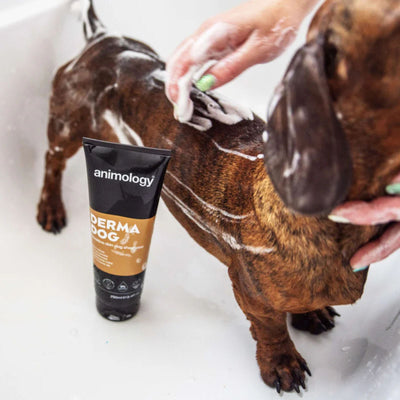 Sampon pentru Caini Animology Derma Dog pentru Piele Sensibila, Fara Parfum, 250 ml
