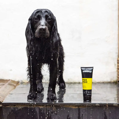 Sampon pentru Caini Animology Fox Poo, Solutia Premiata Anti-Mirosuri, 250 ml