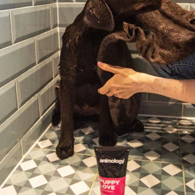 Sampon pentru Catelusi Animology Puppy Love cu Pro-Vitamina B5 si Balsam, 250 ml