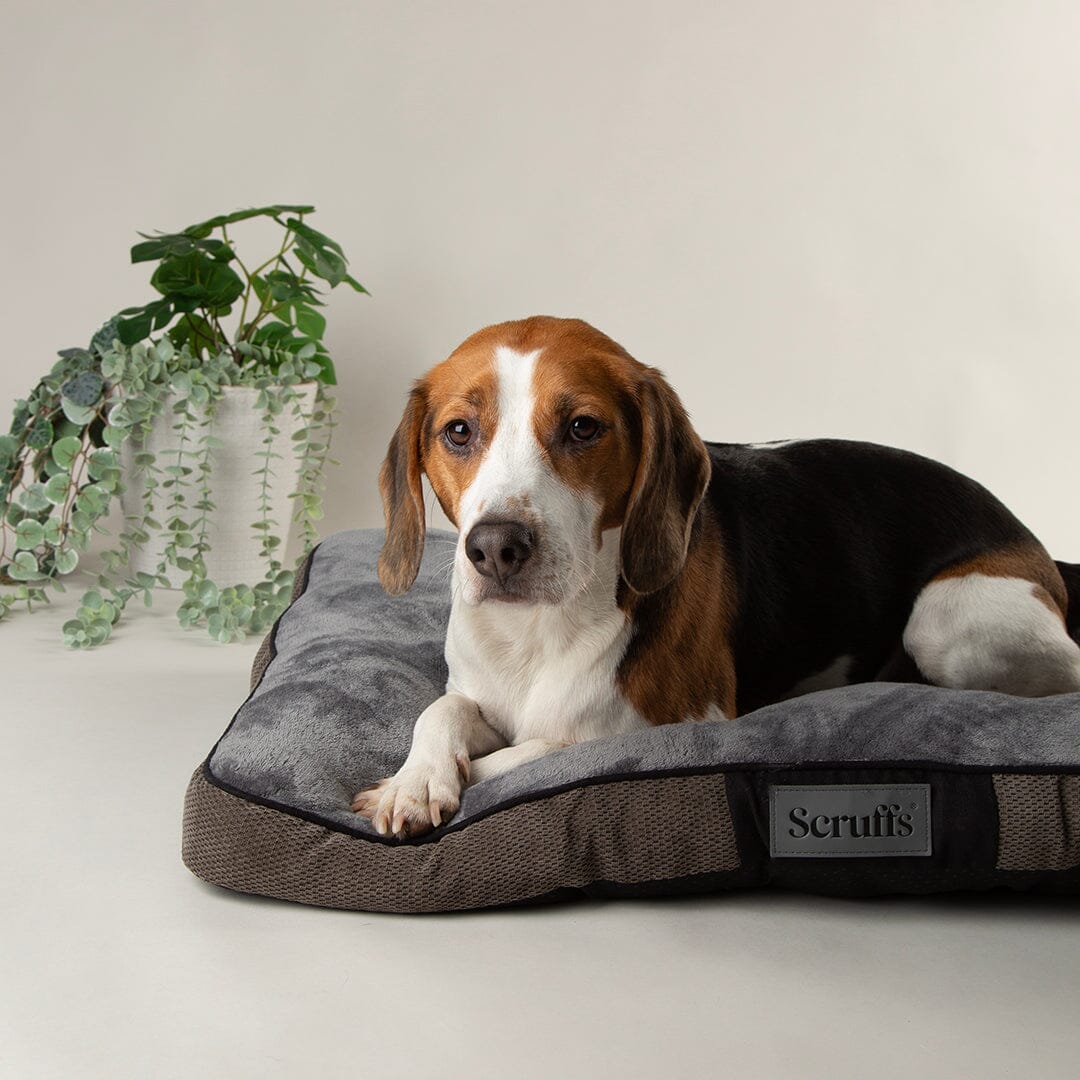 Scruffs Chester Mattress Graphite Grey - Saltea pentru Caini, M (82 x 58cm)