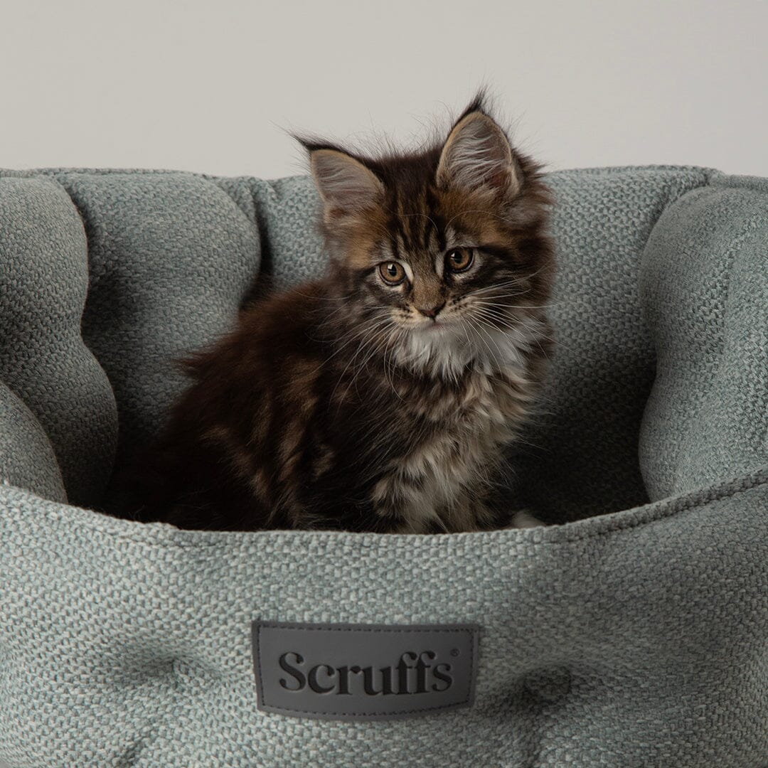 Scruffs Seattle Topaz Green - Pat Pufos pentru Pisici, 45cm