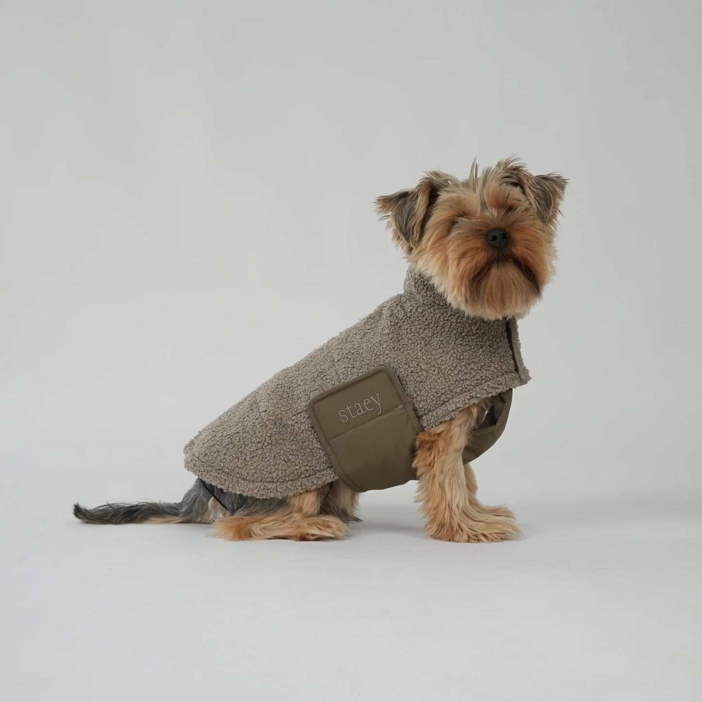 Staey Teddy Taupe, Haina "Teddy" pentru Caini