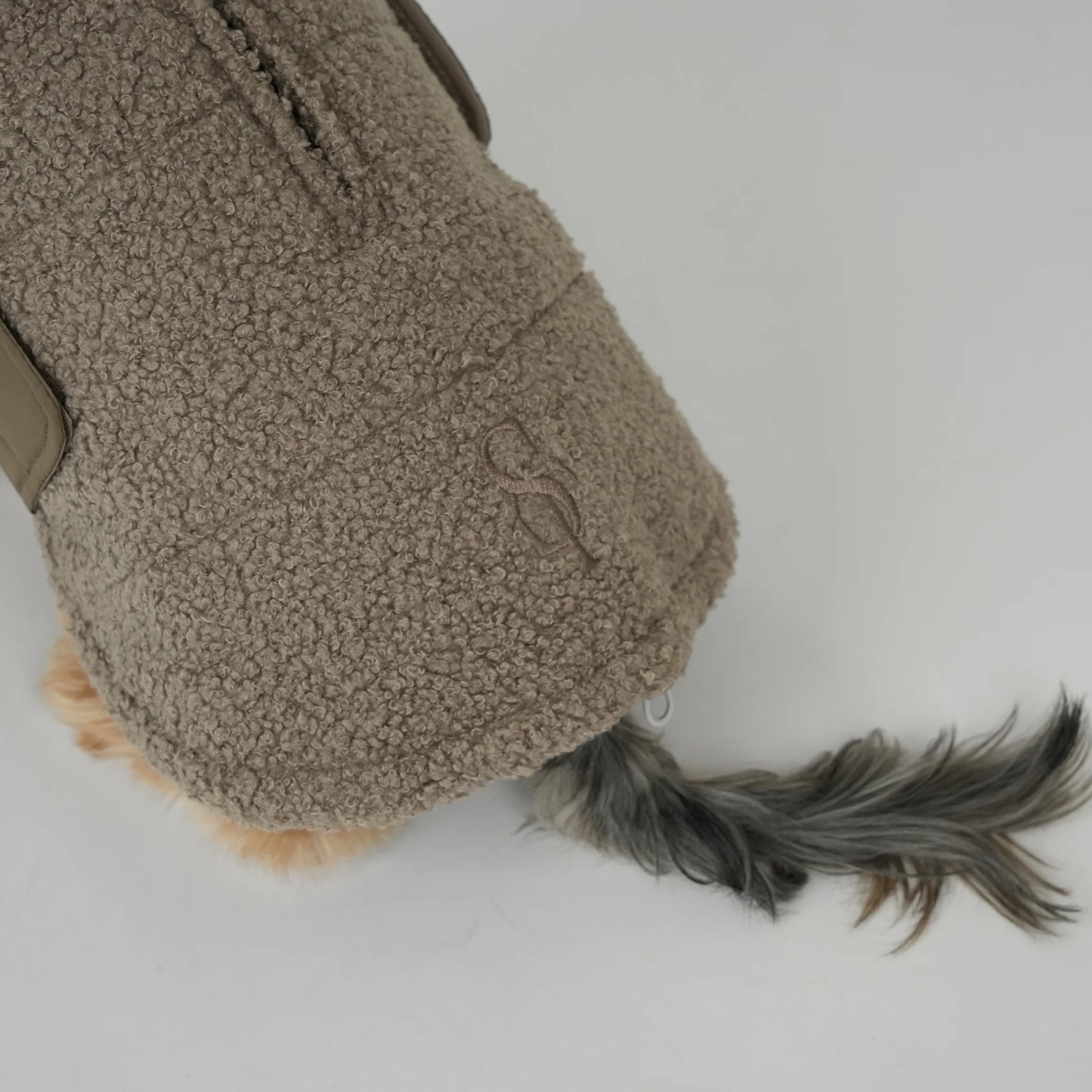 Staey Teddy Taupe, Haina "Teddy" pentru Caini