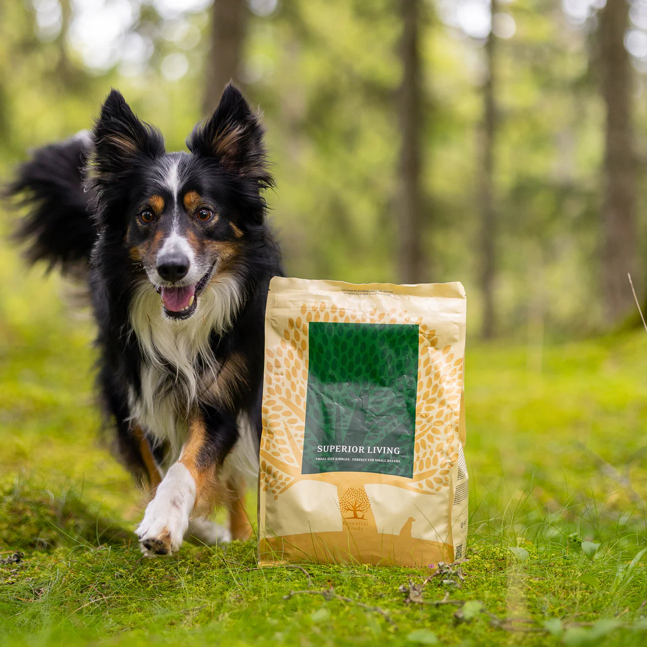 Essential Superior Living, Hrana Uscata pentru Caini Adulti, cu Pui, Rata si Peste, Crocheta Mica, 2.5kg