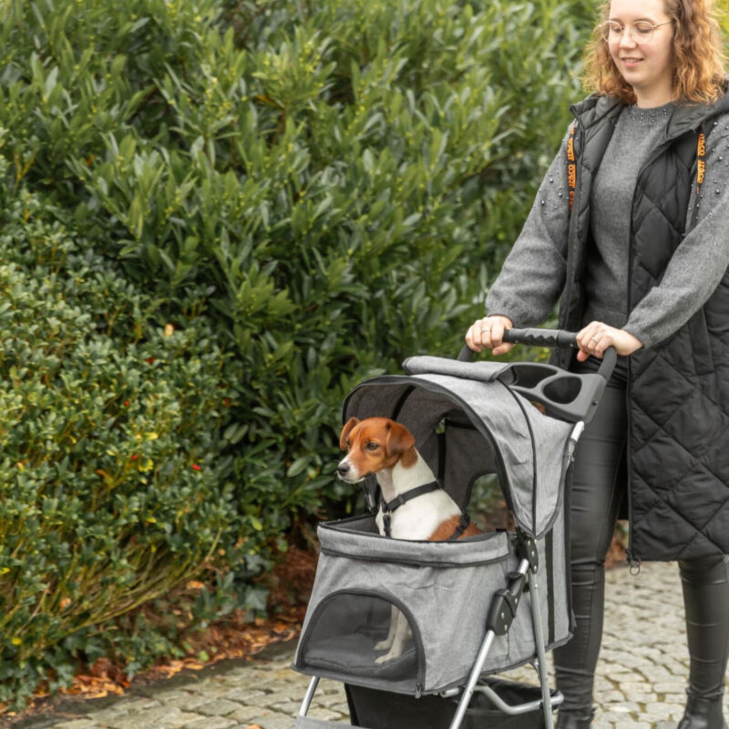 Trixie Carucior Transport Buggy 4 Roti pentru Pisici si Caini pana la 15kg, 47x100x80cm, Taupe, Pliabil cu O Singura Mana