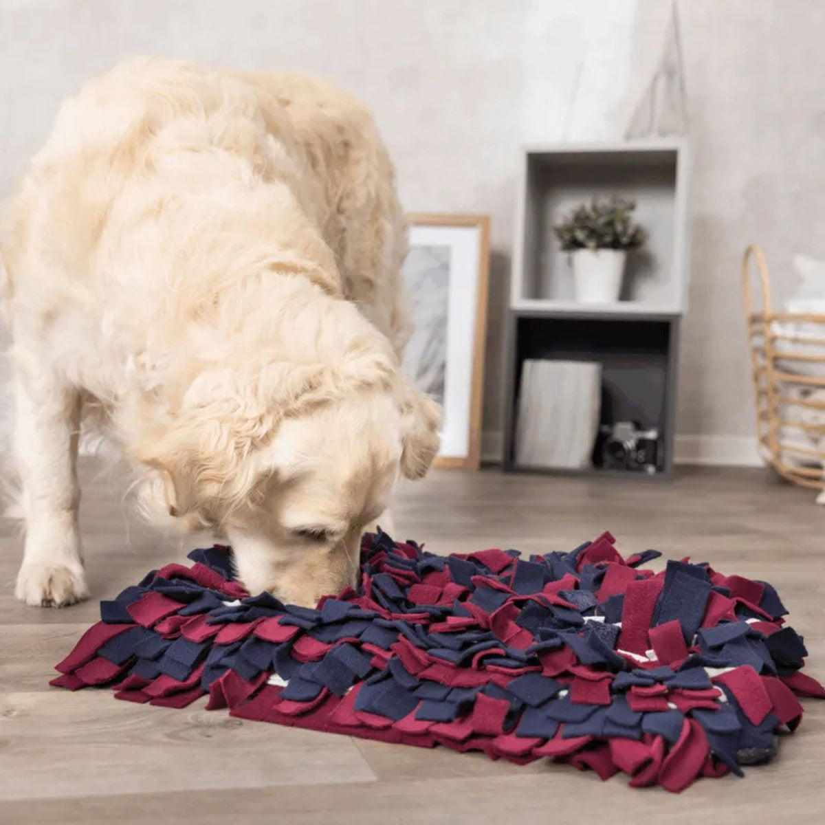 Trixie Dog Activity Sniffing Carpet, Jucarie de Inteligenta Caine, Covor de Adulmecare, 50 x 34 cm