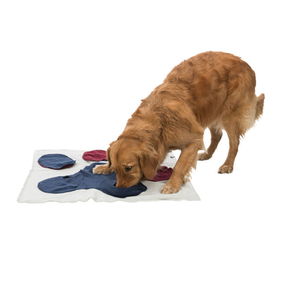 Trixie Dog Activity Sniffing Carpet, Jucarie de Inteligenta Caini, Covor de Adulmecare, Model Labuta, 50 x 34 cm