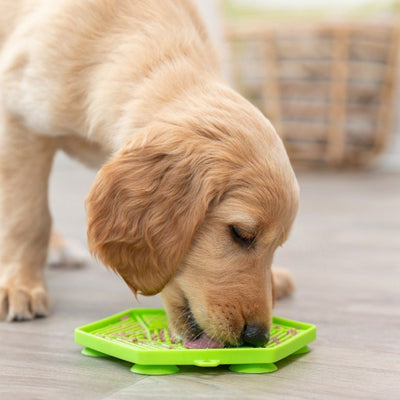 Trixie Farfurie Pentru Hranire Lenta, Lick`n'Snack, cu Ventuze, din Silicon, 17 cm