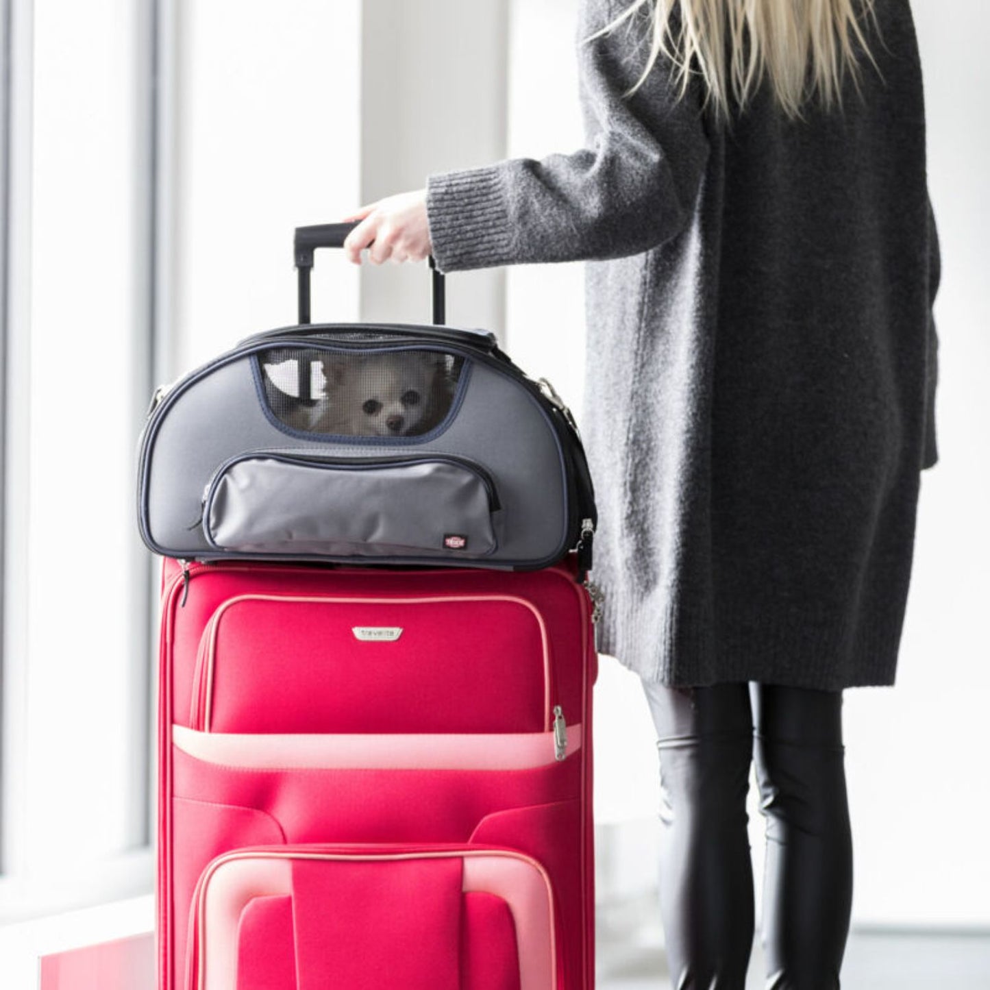 Trixie Geanta Transport Wings pentru Pisici si Caini pana la 20kg, Calatorii cu Avionul, 28x23x46cm, Gri